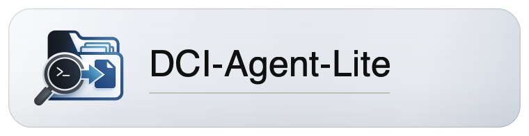 DCI-Agent-Lite