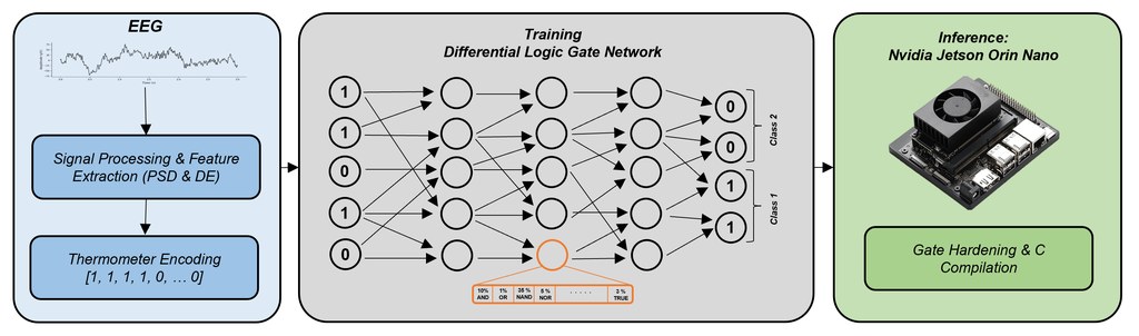 Workflow for EEG classification using differentiable logic gate networks