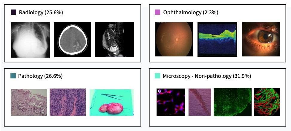 Repository image for Yale-BIDS-Chen-Lab/MedPMC