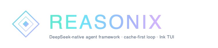 Reasonix