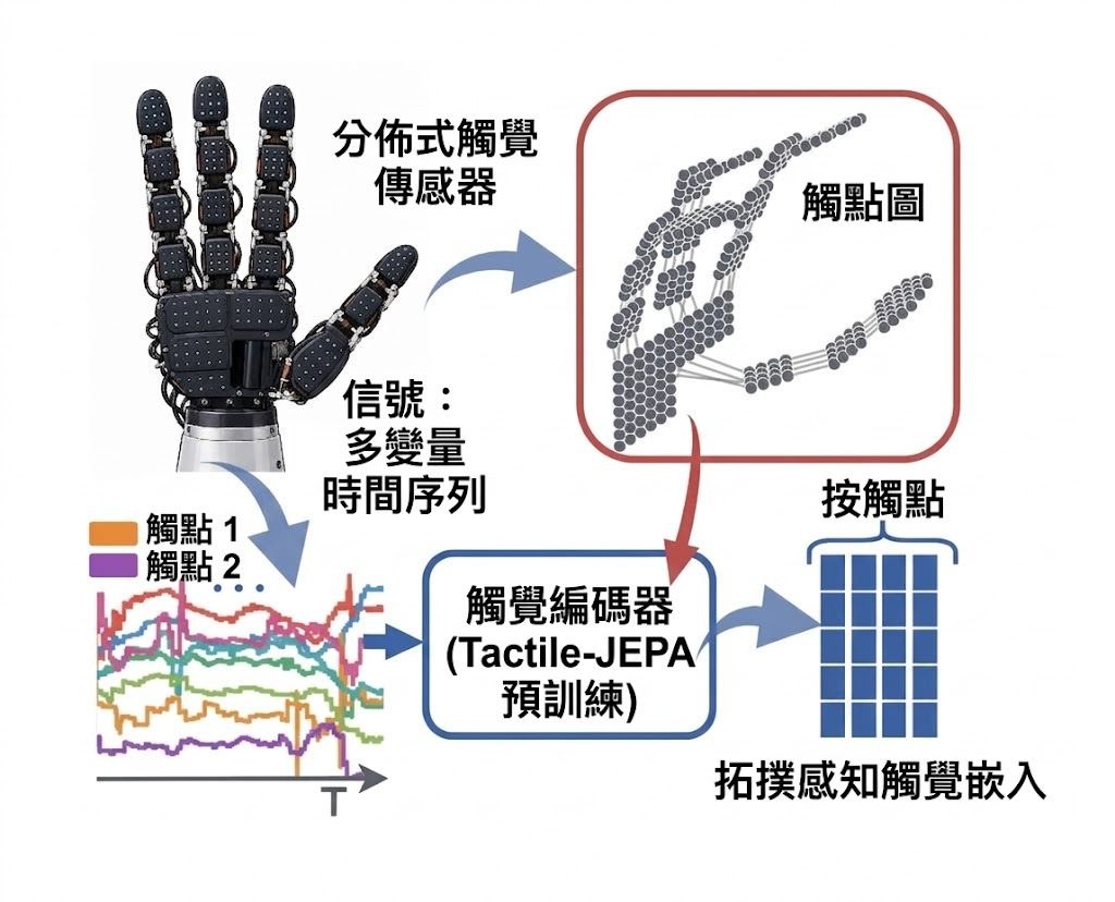 Tactile-JEPA maps distributed tactile signals to topology-aware per-taxel embeddings using the taxel graph during pretra