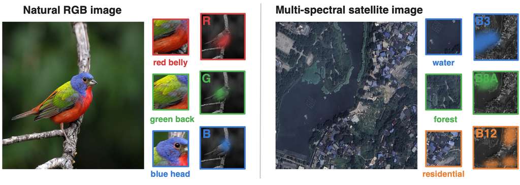 Figure 1: spatially varying channel relevance in RGB and multispectral images